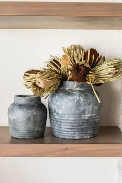 Banksia Brown Flower Stem