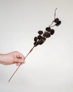 Botanical Sage Flower Stem