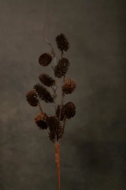 Botanical Sage Flower Stem