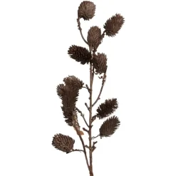 Botanical Sage Flower Stem