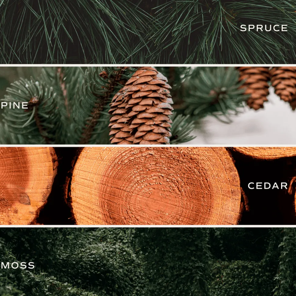 Christmas Tree - 9 oz