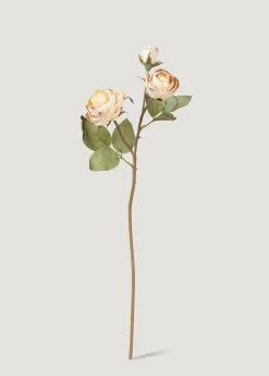 Dried Look Fake Roses in Beige