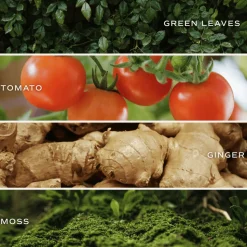 Farmer's Market - 11 oz