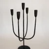 Forager Candelabra - Sweet Water Decor