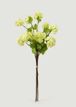 Honeydew Green Snowball Flower Bundle