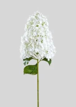 Large Cone Hydrangea Flower in White