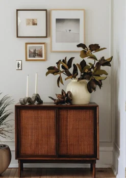 Magnolia Leaf Branch