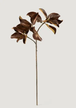 Magnolia Leaf Branch
