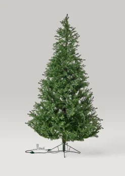 Noble Fir Pre-Lit LED Christmas Tree with White Lights