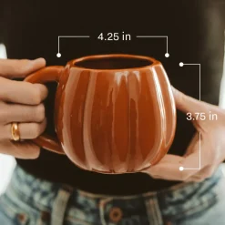 Orange Pumpkin 19 oz Mug