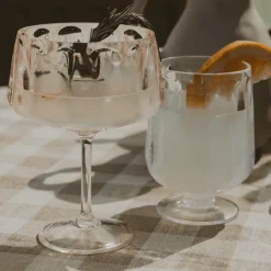 Outdoor Plastic Goblet Drinkware