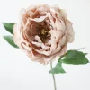 Peony Flower in Taupe Mauve