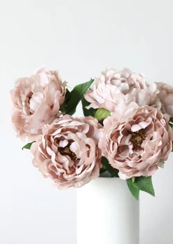 Peony Flower in Taupe Mauve