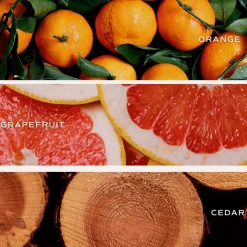 Pink Grapefruit - 12 oz