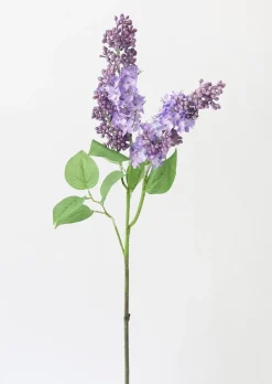 Purple Lilac Flower Stem