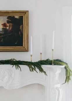 Real Touch Norfolk Pine Garland - 60"