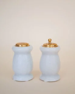 Wren Salt and Pepper Shakers